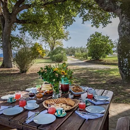 Villa Casale Le Tre Querce 8&1, Emma